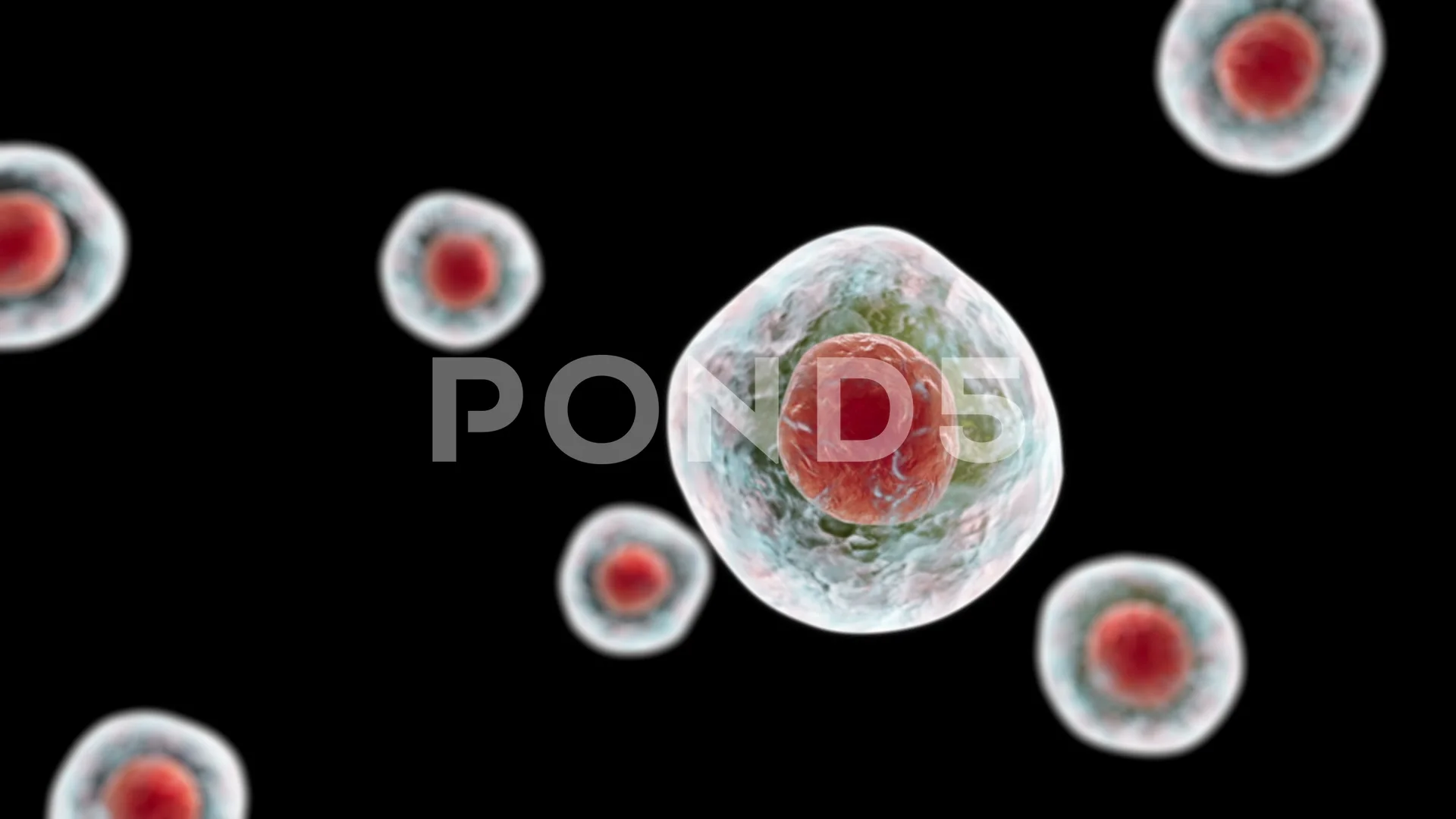Human cells animation | Stock Video | Pond5 Human cells animation | Stock Video | Pond5