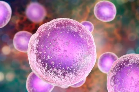 Human cells on colorful background Stock-Illustration