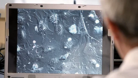 Human cells on display Stock Footage 100269705