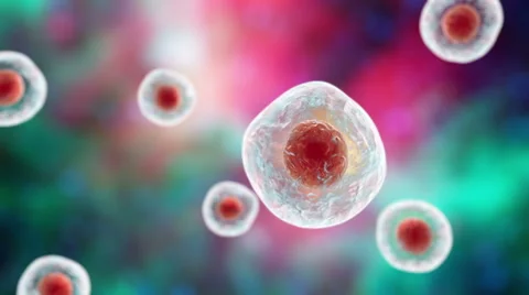 Human cells floating on colorful background Stock Footage 68808278