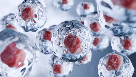 Human cells floating, Embryonic stem cell, Cellular therapy and Regeneration Stock Footage 284211334