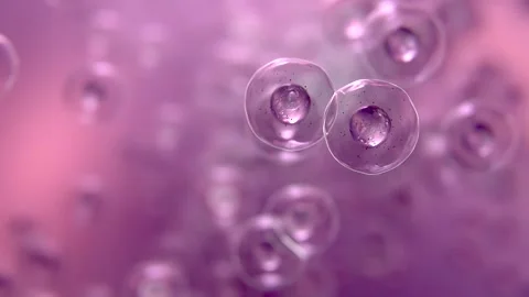 Human Cells formation video | Human Cells generations in HQ Video Stock Footage 306933193