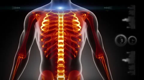 Human chest medical screen interface in loop Stock Footage