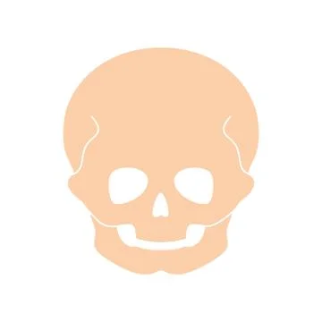 Human child skull Stock Illustration