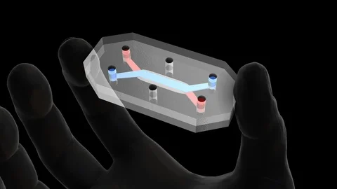 Human on a CHIP-zoom in black hand between the fingers Video stock 109494101