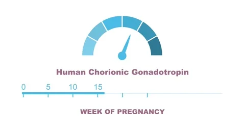 Human chorionic gonadotropin levels during pregnancy period Video stock 311300075