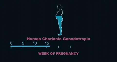 Human chorionic gonadotropin levels during pregnancy period Video stock 311300108