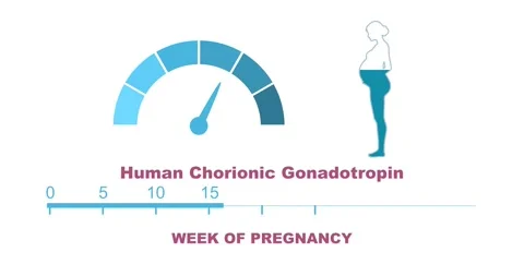 Human chorionic gonadotropin levels during pregnancy period Video stock 311300116