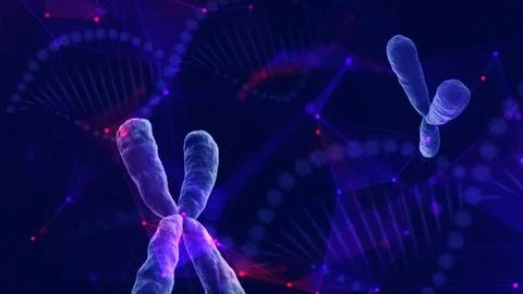 Human chromosome, composited with plexus network. 스톡 일러스트