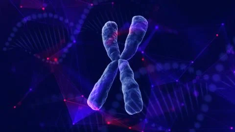 Human chromosome, composited with plexus network. 스톡 일러스트