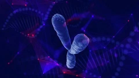 Human chromosome, composited with plexus network. 스톡 일러스트