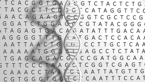 Human chromosome DNA sequencing genetic engineering of human genes for research Stock Footage