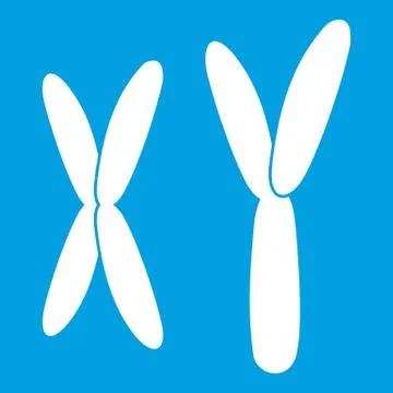 Human chromosomes icon white Illustrazione stock