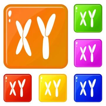 Human chromosomes icons set vector color Illustrazione stock