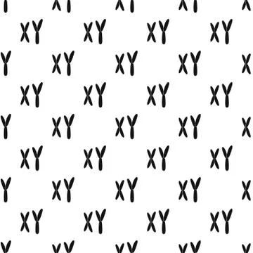 Human chromosomes pattern Illustrazione stock