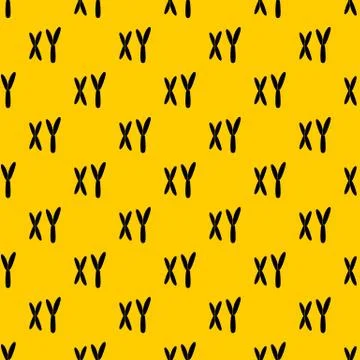 Human chromosomes pattern Illustrazione stock
