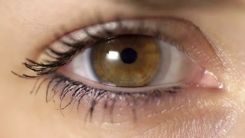 Human Close up eye blinking, Blinking Eyes Video stock 277200125