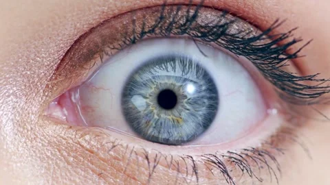 Human Close up eye blinking, Blinking Eyes Video stock 277200455