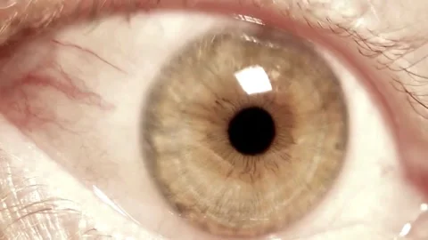 Human Close up eye blinking, Blinking Eyes Stockbeeldmateriaal 277200498