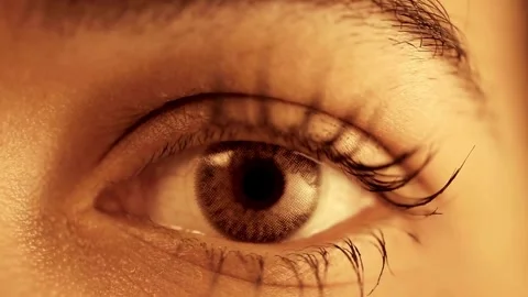 Human Close up eye blinking, Blinking Eyes Vídeos de archivo 277200503
