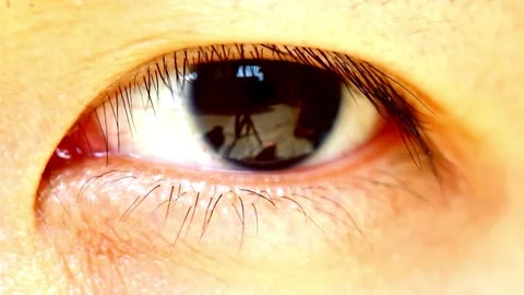Human Close up eye blinking, Blinking Eyes Vídeos de archivo 277200521