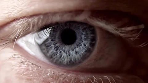Human Close up eye blinking, Blinking Eyes Vídeos de archivo 277201545