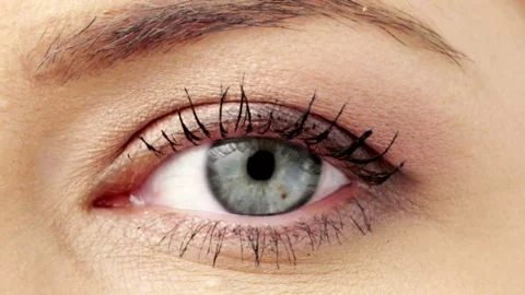 Human Close up eye blinking, Blinking Eyes Stock Footage 277201559