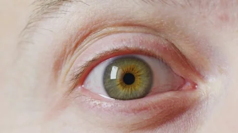 Human Close up eye blinking, Blinking Eyes Stock Footage 277201730