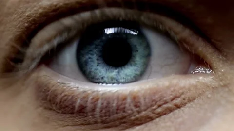 Human Close up eye blinking, Blinking Eyes Vídeos de archivo 277202080
