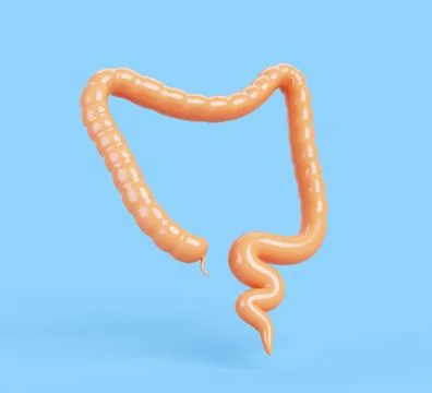Human colon 3d render icon. Cartoon internal organ of digestive system. Medical Illustrazione stock
