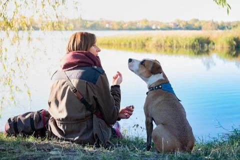 Human communicating with dog Stock Photos