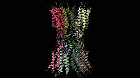 Human connexin-26 open-closed conformation at low pH Stock Footage 147079738