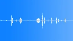 HUMAN, CRYSound Effect