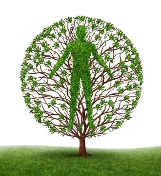 Human development Stock Illustration