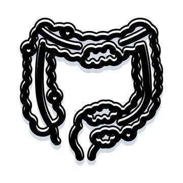 Human digestive system colon and intestine illustration Stock Illustration