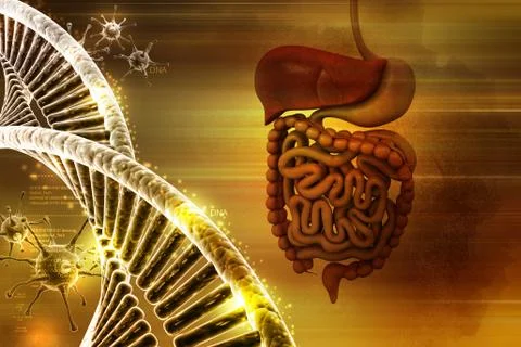 Human digestive system with dna and virus in color background Stock Illustration