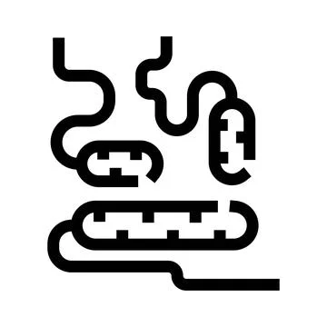 Human digestive system gut intestines anatomy icon Stock Illustration