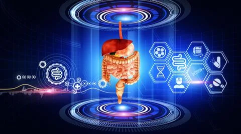 Human Digestive System Virtual Reality Illustrazione stock