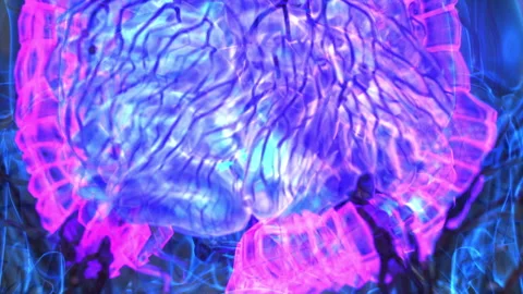 Human digestive system,intestine Stock Footage 278411502