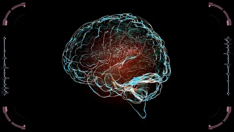 Human digital brain with neuro network on Holographic Futuristic User Interface Video stock 128749631