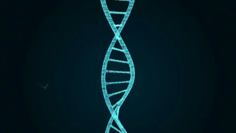 Human DNA. Abstract background with plexus. Stock Footage 77277722