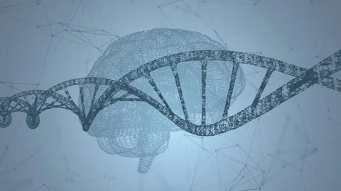 Human DNA, the brain. Abstract background with plexus. Loop animation Stock Footage 77292732
