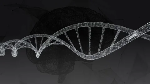 Human DNA, the brain. Abstract background with plexus. Loop animation Stock Footage 77434385