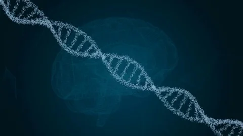 Human DNA, the brain. Abstract background with plexus. Loop animation Stock Footage
