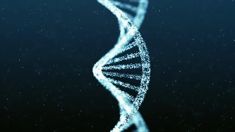 Human DNA genome double helix spiral animation. Concept of future biotechnology Stock-Footage 119785359