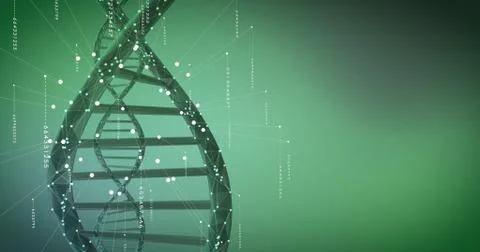 Human DNA Green Stock Illustration