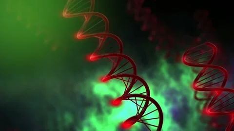 Human DNA Helix Video stock 46152114