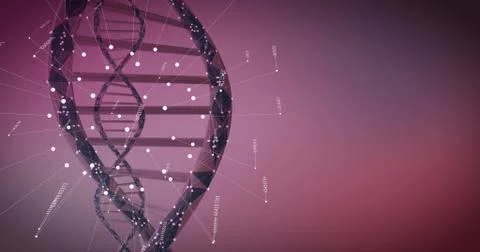 Human DNA Red Stock Illustration