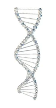 Human dna string Stock Illustration