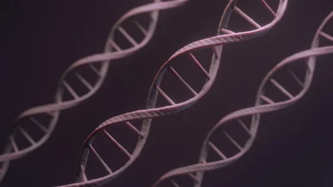 Human DNA under microscope Stock Footage 140612395